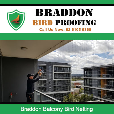 Balcony bird netting fitted to modern apartments in Braddon Canberra