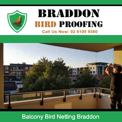 Professional balcony bird netting protecting home in Braddon ACT