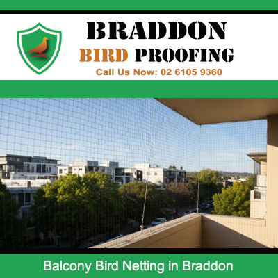 Balcony bird netting on apartment with urban outlook in Braddon Canberra