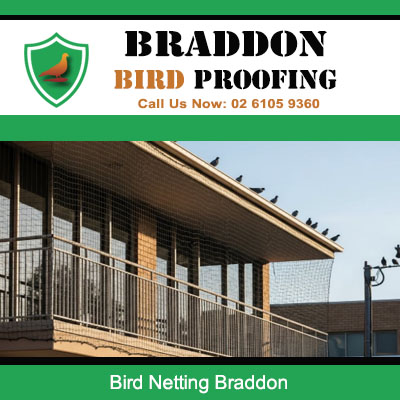 Professional bird netting protecting multi storey residential property in Braddon ACT
