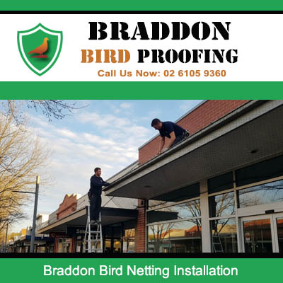 Technician installing bird netting on residential roof in Braddon Canberra