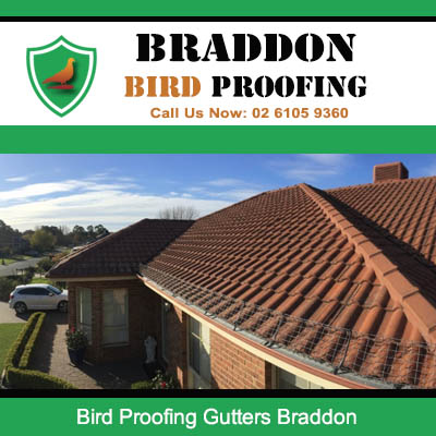 Bird proofing gutter installed on residential property in Braddon Canberra