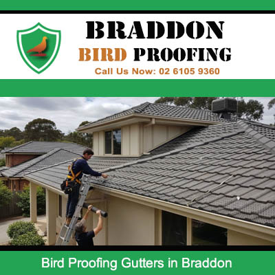 Professional bird proofing gutter installation on home in Braddon ACT