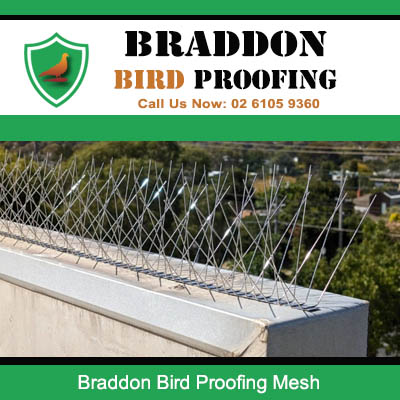 Bird proofing mesh installed on building ledge in Braddon Canberra