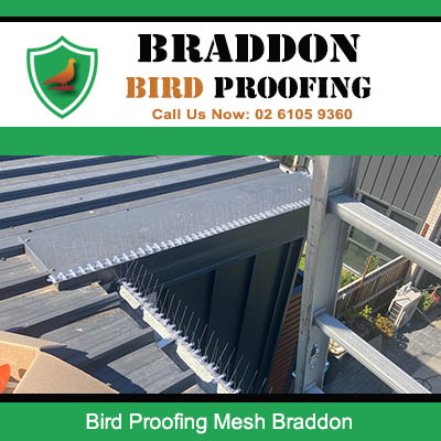 Professional bird proofing mesh fitted to industrial roof in Braddon ACT