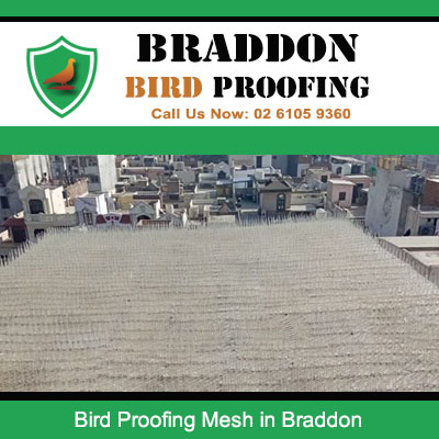 Bird proofing mesh system covering rooftop surface in Braddon Canberra