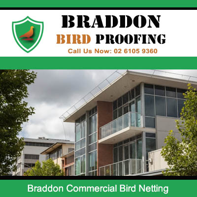 Commercial bird netting installed on office building in Braddon ACT