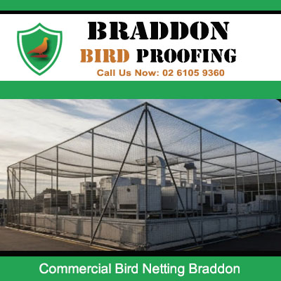 Large scale commercial bird netting system fitted in Braddon