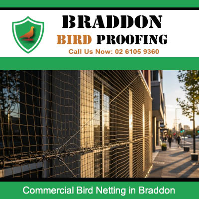 Commercial bird netting system fitted to retail building in Braddon